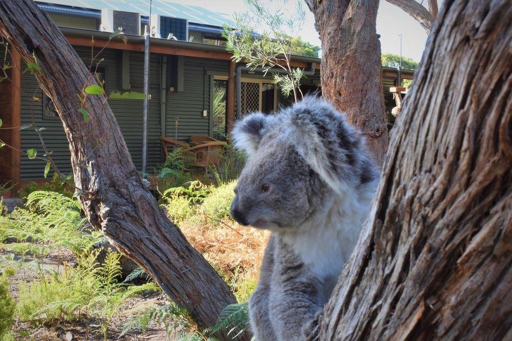 Kangaroo Island Wilderness Retreat Flinders Chase Экстерьер фото