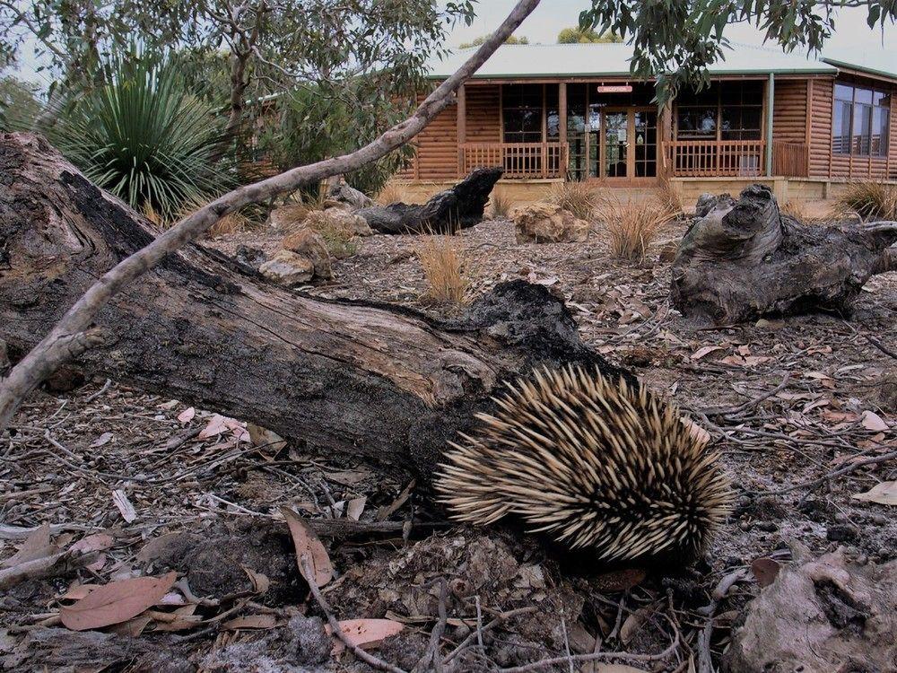 Kangaroo Island Wilderness Retreat Flinders Chase Экстерьер фото