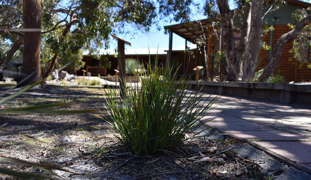 Kangaroo Island Wilderness Retreat Flinders Chase Экстерьер фото
