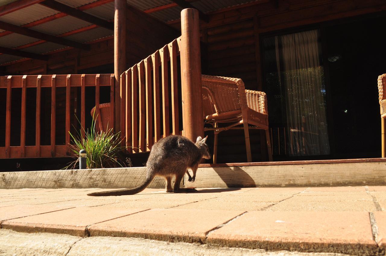 Kangaroo Island Wilderness Retreat Flinders Chase Экстерьер фото